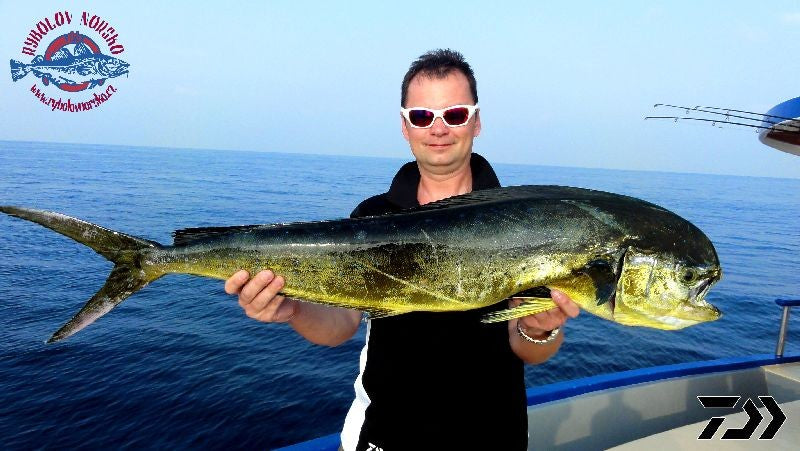 Načtěte obrázek do galerijního prohlížeče, Rapala Saltwater X-RAP Magnum 20cm Firetiger