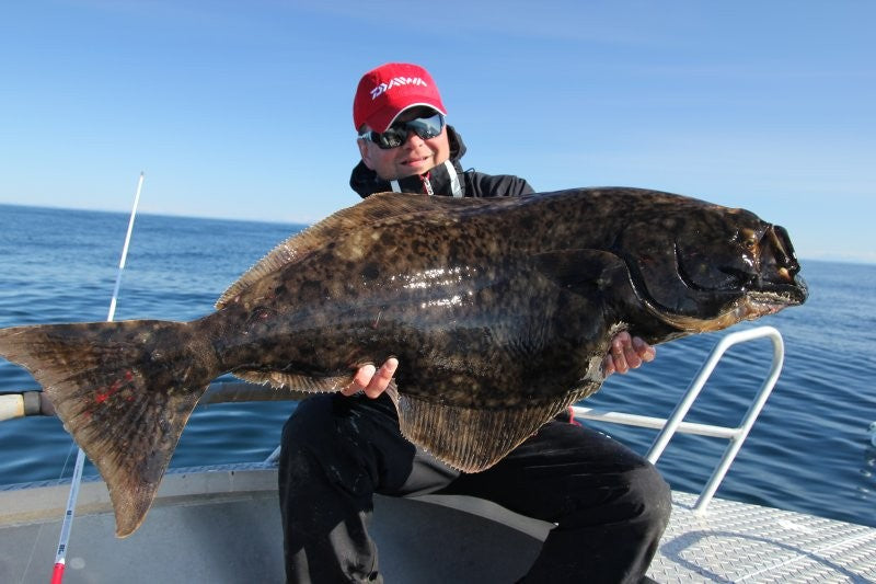 Načtěte obrázek do galerijního prohlížeče, Savage Gear Nordic Bait Fish Halibut 500g 12/0