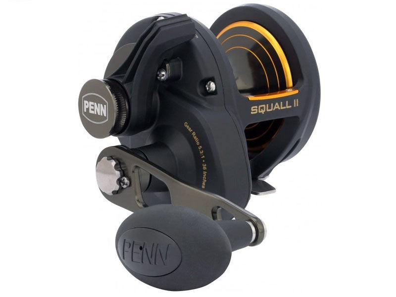 Načtěte obrázek do galerijního prohlížeče, PENN Squall II SQLII25NLD