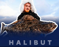 Nejlepší výbava na halibuta: co opravdu potřebuješ, a co je jen marketing