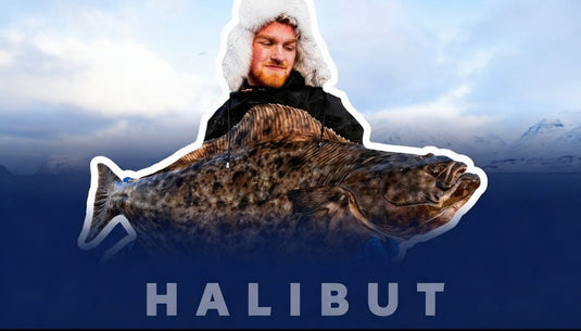 Nejlepší výbava na halibuta: co opravdu potřebuješ, a co je jen marketing