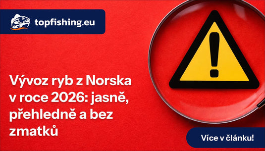 Vývoz ryb z Norska v roce 2026: jasně a bez zmatků