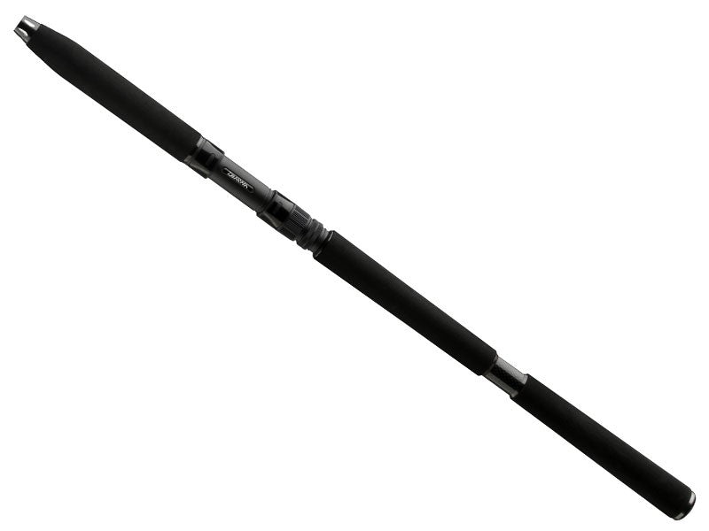 Načtěte obrázek do galerijního prohlížeče, DAIWA BG Sea Jigger 1,7m 150-400g
