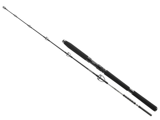 DAIWA BG Sea Jigger 1,7m 150-400g