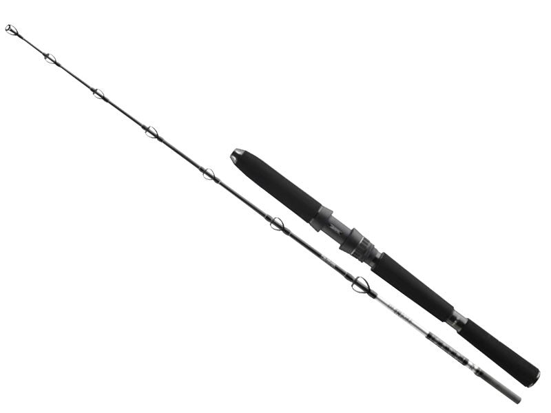 Načtěte obrázek do galerijního prohlížeče, DAIWA BG Deep Sea 1,75m 100-300g
