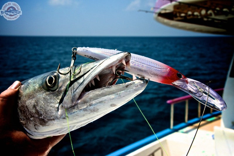 Načtěte obrázek do galerijního prohlížeče, Rapala X-RAP 18cm 97g Pearl Orange
