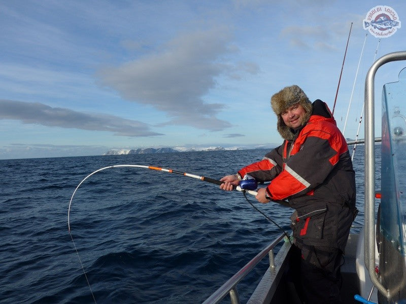 Načtěte obrázek do galerijního prohlížeče, Daiwa Sealine X treme Inline 30-40lbs 2,13m Travel 3 díly
