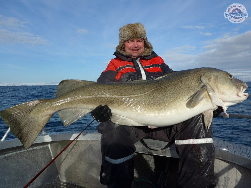 Načtěte obrázek do galerijního prohlížeče, Daiwa Sealine X treme Inline 30-40lbs 2,13m Travel 3 díly
