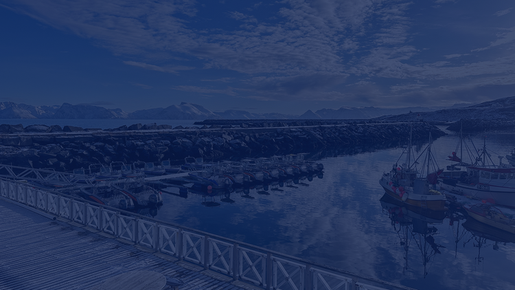 Odebírej newsletter