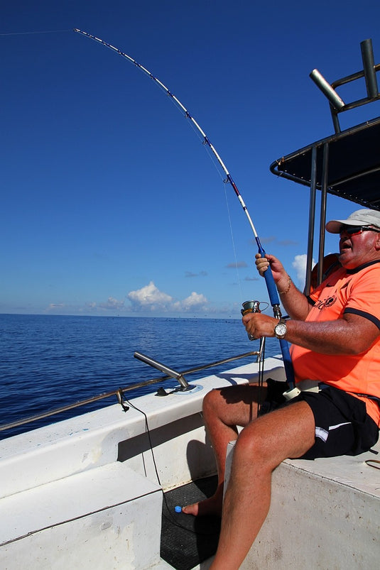 WFT Electra Speed Jig 2m 200-1000g dvoudíl