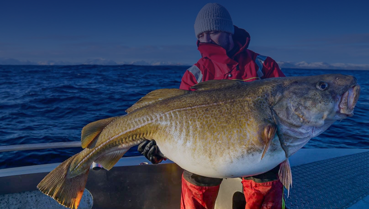 Široký sortiment  ověřených produktů