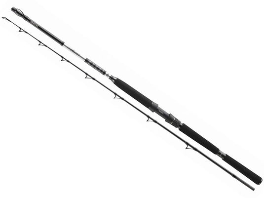 DAIWA BG Deep Sea 2,2m 150-400g