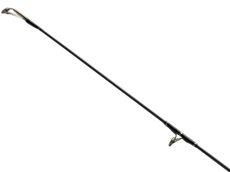 Načtěte obrázek do galerijního prohlížeče, Daiwa BG Boat 2,1m 150-400g
