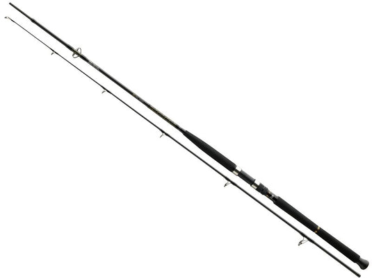 Daiwa BG Boat 2,1m 150-400g