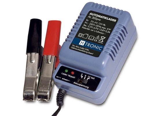 Nabíječka 12V/300mA