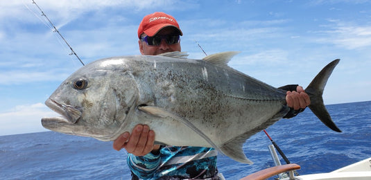 X-RAP Magnum Stick High Voltage 88g 17cm