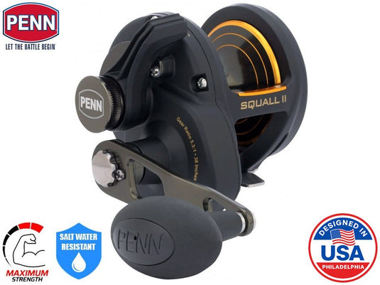 PENN Squall II SQLII25NLD