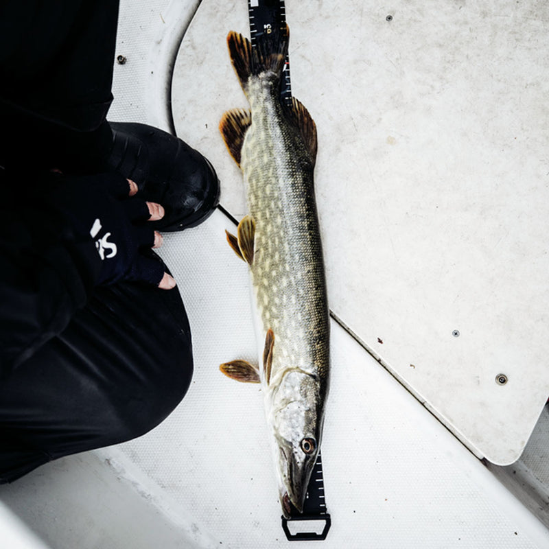 Načtěte obrázek do galerijního prohlížeče, RAPALA RCD Roll Ruler 150cm
