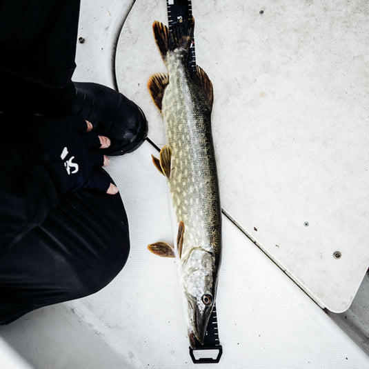 RAPALA RCD Roll Ruler 150cm