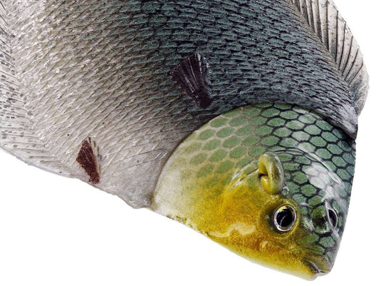 Platýs Flat Matt Jig 13cm 85g Bleeding Flounder