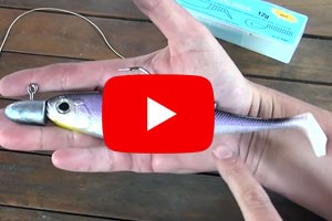 Video: Rigování na halibuta
