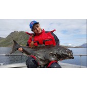 Savage Gear Nordic Bait Fish Halibut 500g 12/0