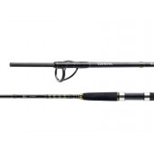 DAIWA BG Offshore Pop 2,3m 40-150g