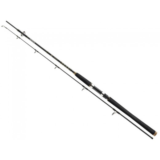 DAIWA BG Offshore Pilk 2,1m 40-125g