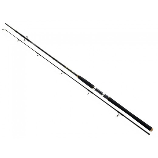 DAIWA BG Offshore Pop 2,3m 40-150g