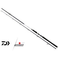 DAIWA GrandWave Polak 2,40m 40-100g